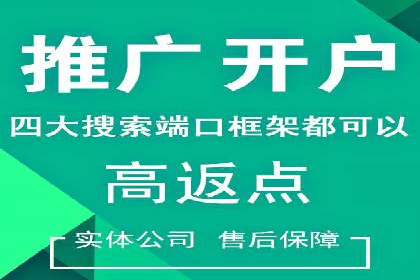 SEM投放策略优化案例分析